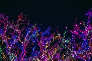 Multi-coloured lights